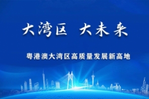 推动粤港澳大湾区高质量发展